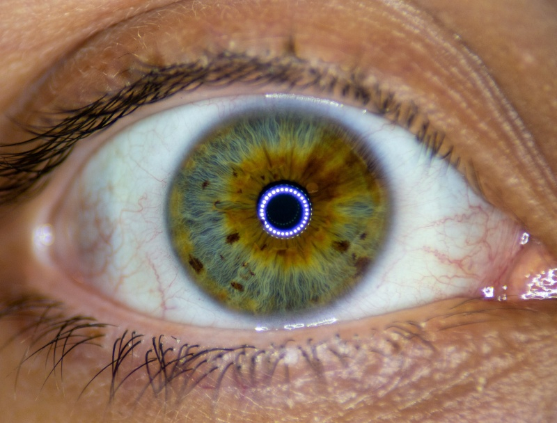 Samuel Altman's startup plans to link AI agents' behavior with reading the iris of the eye