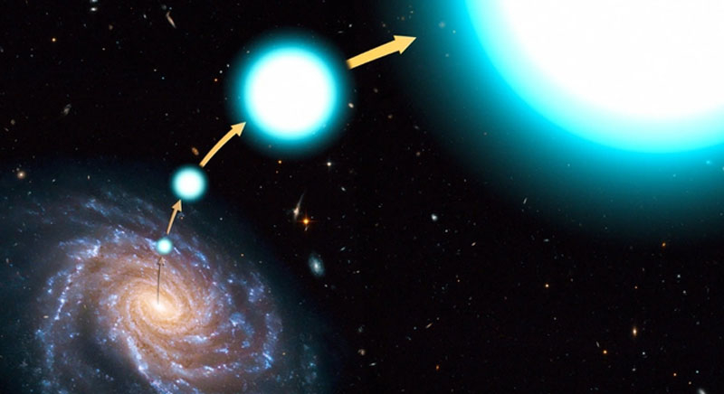 The large-scale first analysis of star-exclusions changed our understanding of their origin