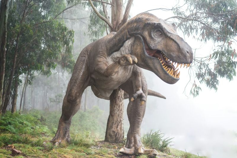 AI helps paleontologists identify dinosaurs from their fossilized footprints