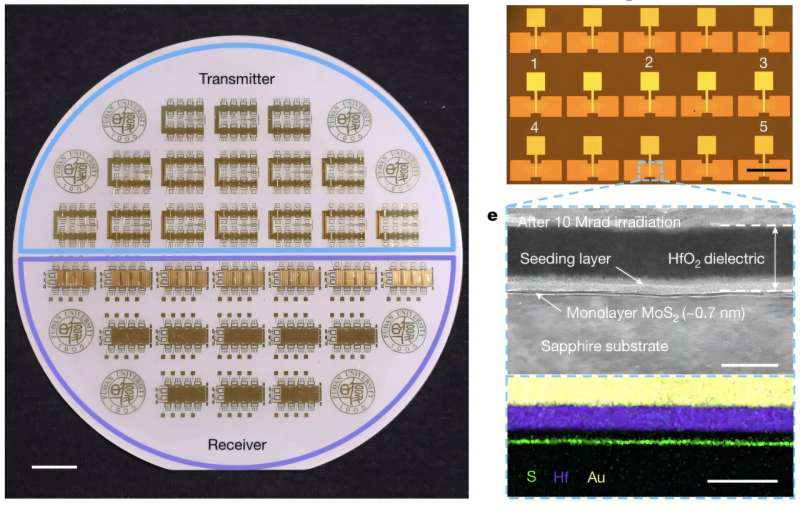 Chinese scientists have created transparent electronics that are resistant to radiation.