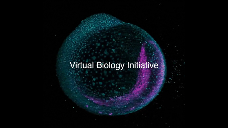 Mark Zuckerberg's Biohub has begun accelerating the treatment of all diseases using AI cell models