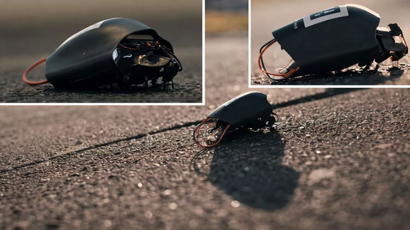 NATO equips itself with cyber cockroaches: intelligence becomes invisible but vulnerable to a "tap".