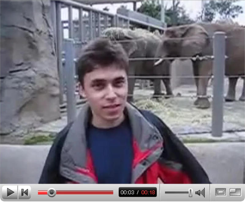 The first videos from YouTube entered the museum’s collection