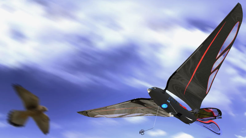 An engineer created a 10‑gram robotic bird that can spin up to 31 km/h and is controlled via a smartphone
