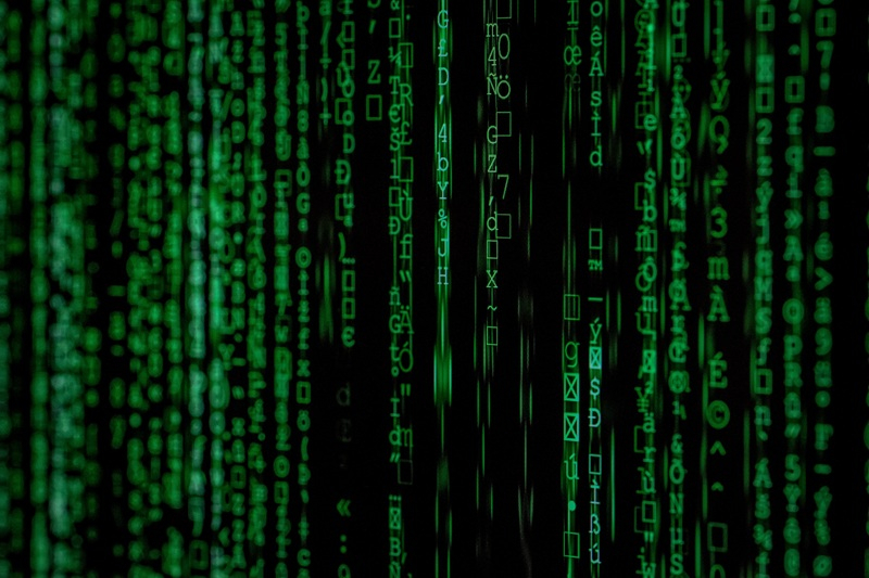 Botnets made up of thousands of infected routers are difficult to remove – however there is an effective method for combating them.