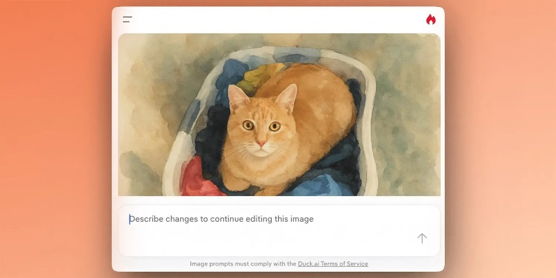 DuckDuckGo introduced the AI bot Duck.ai, capable of changing images according to a text request